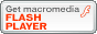 Flash Player �ndir